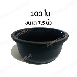 100 ใบ กระถางแบน 7.5 นิ้ว ปากกว้าง กระถางเพาะเมล็ด กระถางแคคตัส กระถางกระบองเพชร เพาะเมล็ด กระถางเตี้ย กระถางกลม