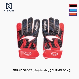 ถุงมือผู้รักษาประตู Grand Sport (Chameleon)