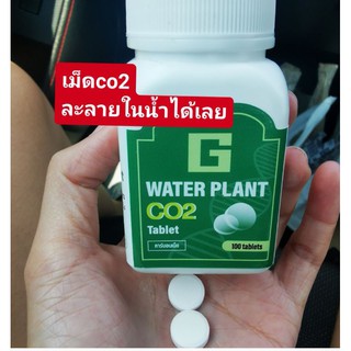 ราคาเม็ดco2 ละลายในน้ำได้เลย​ช่วยให้ต้นไม้แข็งแรง