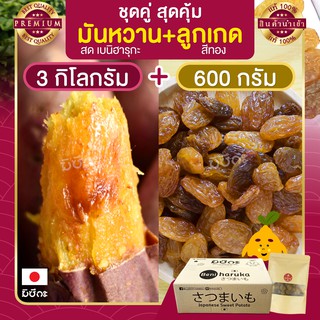 มันหวานญี่ปุ่น มันหวาน 3kg +  ลูกเกด 600 กรัม เบนิฮารุกะ มันญี่ปุ่น มันหวานญี่ปุ่นนำเข้า beni haruka มันญี่ปุ่น