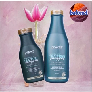 Beaver Tea Tree Purifying Conditioner 350/730 ml ครีมนวดผม สำหรับปัญหารังแค ขจัดความมันบนหนังศีรษะ ลดกลิ่นอับ