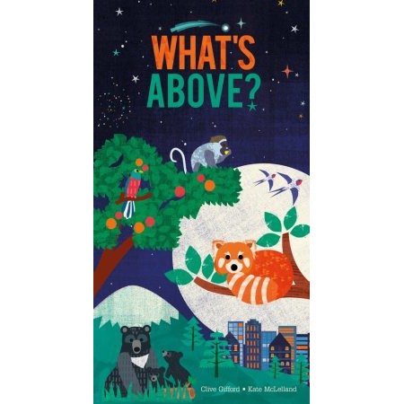 What's Above? pop-up หนังสือเด็ก ภาษาอังกฤษ [X]