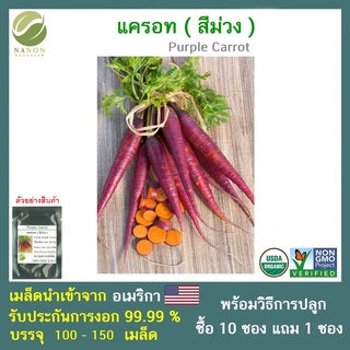 เมล็ดแครอท (สีม่วง)  จำนวน 100-150 เมล็ด