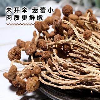 เห็ดโคนญี่ปุ่นแห้ง เห็ดโคน พร้อมส่ง(茶树菇 100克)ขนาด 100g เห็ดสามาราถนำมาประกอบอาหารได้หลากหลายเมนู