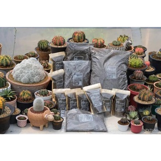 🌵CACTUS Suculent PREMIUM MIXED SOIL ดินกระบองเพชร ไม้อวบน้ำ ไม้โขด พร้อมปลูก 🌵