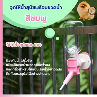จุกให้น้ำสุนัขพร้อมขวดน้ำ