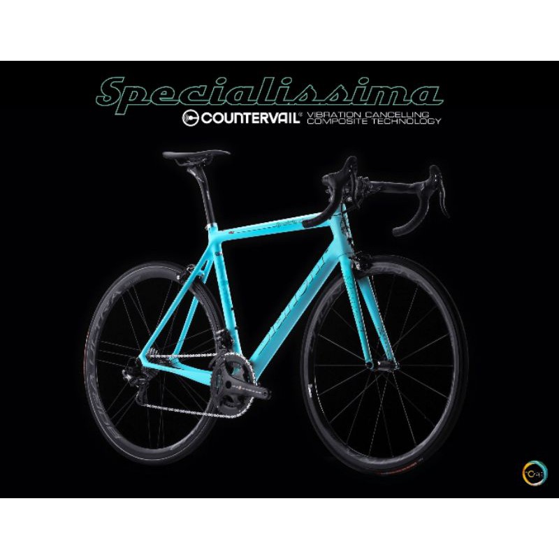 bianchi medium frame size