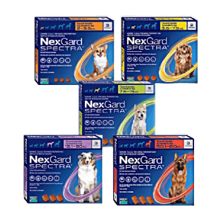 Nexgard Spectra (ทุกขนาด) chewable tablet for Dog (3tabs/box)