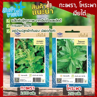 เจียไต๋ 🥦 เมล็ดผัก โหระพา กะเพรา 750-2400 เมล็ด  เมล็ดพันธ์ุ ผักสวนครัว เมล็ดพันธ์ุเจียไต๋