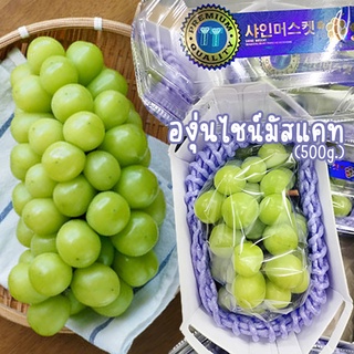 🍇 องุ่นไชน์มัสแคท(CHN) 500g. 🍇 เนื้อเยลลี่ รสหวานหอมของดอกไม้ นุ่มละมุนลิ้น อร่อยเทียบเท่าองุ่นนำเข้าญี่ปุ่น