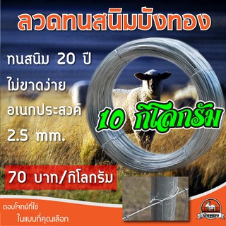 ลวดทนสนิม 10kg. ขนาดเส้นลวด 2.5mm. ลวดขาว ลวดชุปกัลวาไนซ์ อเนกประสงค์ สำหรับรัดรั้วตาข่ายกับเสา รั้วตาข่าย