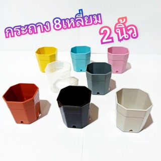 กระถางพลาสติก 8เหลี่ยม ขนาด 2 นิ้ว กระถางกระบองเพชร กระถางแคตตัส กระถางใส สีใส