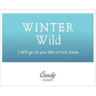 (❤️TZ7Z5G ลดทันที 40.-)เทียนหอม กลิ่น วินเทอร์ ไวลด์ - Soy Candle Winter Wild เทียนหอมไขถั่วเหลือง เทียน ของขวัญ