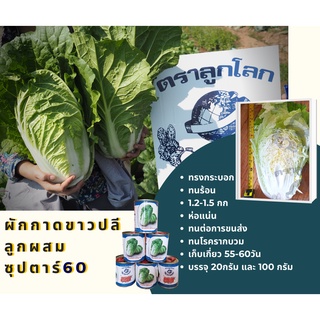 เมล็ดพันธุ์ผักกาดขาวปลีซุปตาร์ 60 (ตราลูกโลก) ขนาด 100 กรัม