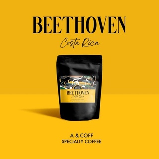 Costa Beethoven musician ปริมาณ200g