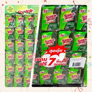 Scotch Brite สก๊อตช์ไบรต์ สก็อตไบรท์ ฟองน้ำทำความสะอาด แผ่นใยขัด มีฟองน้ำ ขนาด 3*4 นิ้ว แบบแผง