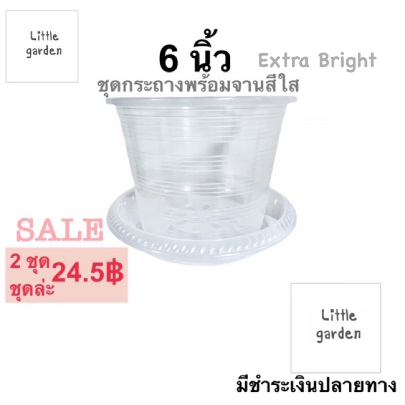 Little ชุดกระถางพร้อมจานสีใส 6 นิ้ว (สีใสพิเศษA+ )