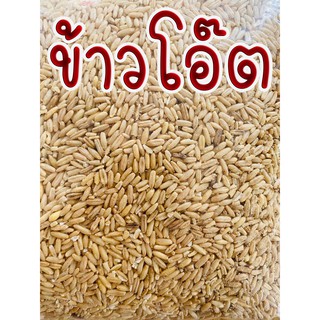 ข้าวโอ๊ต ข้าวโอ้ต โอ๊ด ข้าวโอ๊ตนก oat 🌾 อาหารนก 🔥ราคาถูก🔥 แบ่งขาย1Kg. สัตว์ปีก สัตว์ฟันแทะทุกชนิด