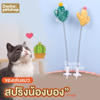 Dacha ของเล่นแมว ปริงเด้งดึ๋ง สำหรับเสียบที่ลับเล็บ TY225