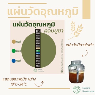 แผ่นวัดอุณหภูมิ สำหรับการหมักดอง หมักเบียร์ คอมบูฉะ คอมบูชา | Nature Kombucha Scoby KETO