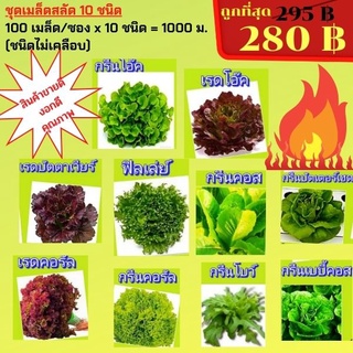 ชุดเมล็ดสลัด 100 เมล็ด/ซอง มี 10 ชนิด (ชนิดไม่เคลือบ)