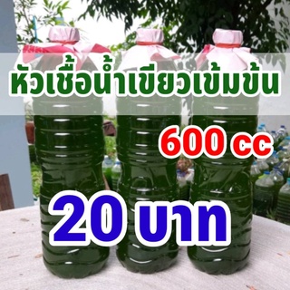 หัวเชื้อน้ำเขียวเข้มข้น (สาหร่ายคลอเรลล่า)ขนาด 600 ml.  สำหรับเลี้ยงไรแดง พร้อมคลิปสอนอย่างละเอียด