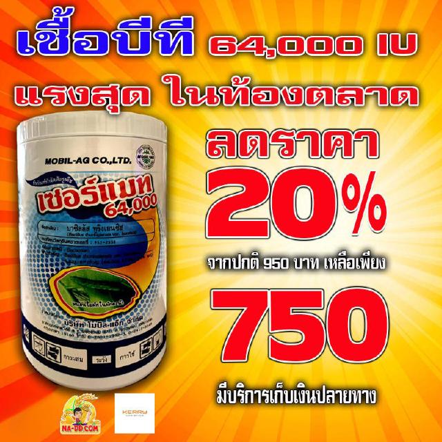 บีที เชื้อบีที มากที่สุด!!! ในท้องตลาด นำเข้าจากอเมริกา  64,000 IU เซอร์แมทBacillus 500g. เชื้อ BT ชีวภัณฑ์กำจัดศตรูพืช