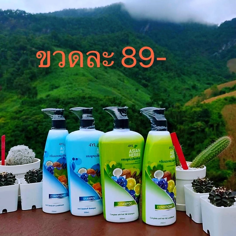 แชมพูสมุนไพร4YLต้มสด
