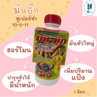 ซูเปอร์ซ่า 10-0-11 ฮอร์โมน มันหัวใหญ่ มันบิ๊ก 1 ลิตร เพิ่มปริมาณแป้ง บำรุงหัวให้มีน้ำหนัก