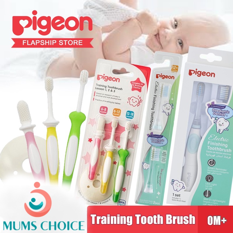 Pigeon Training Toothbrush Lesson