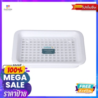 LOTUSS ที่คว่ำแก้ว #5502LOTUSS GLASS DRAINER #5502