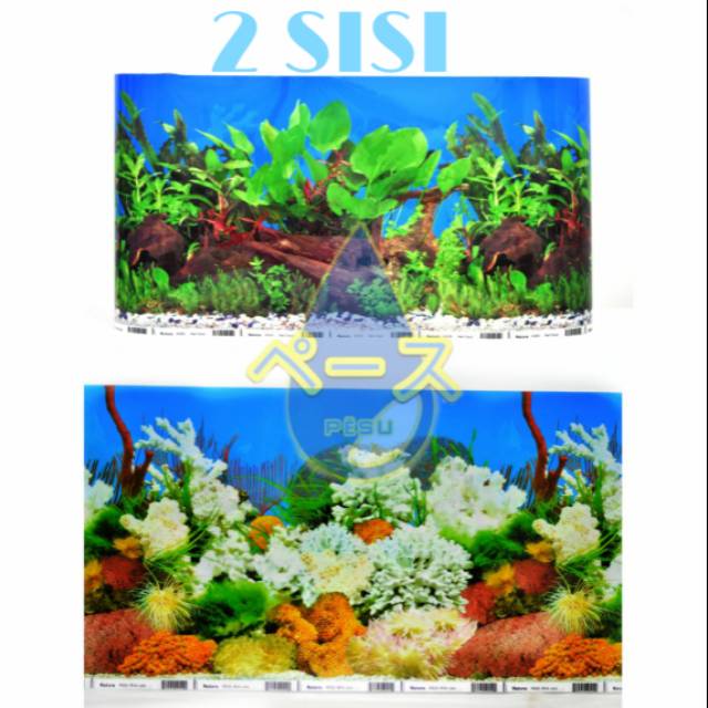 30 ซม. AQUARIUM BACKGROUND WALLPAPER พร้อม MOTIF