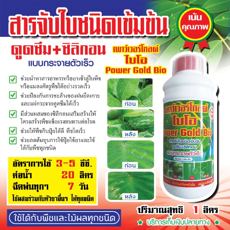 สารจับใบชนิดดูดซึมแบบแผ่กระจายตัวเร็วเข้มข้น+ซิลิกอนช่วยเพิ่มประสิทธิภาพในการใช้ปุ๋ยใช้ยา ใช้3-5ซีซีต่อน้ำ20ลิตร