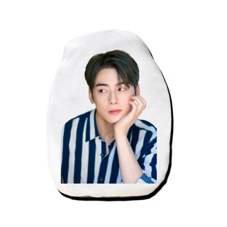 หมอนไดคัท สั่งทำ ตุ๊กตา ตุ๊กตาหน้าเหมือน หมอนตุ๊กตา CHA EUN WOO ชาอึนอู ASTRO