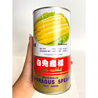 แอสพารากัส กระป๋อง ในน้ำเกลือ Roca Sea asparagus 800 กรัม