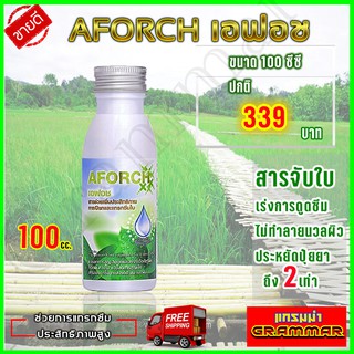 🔥🔥 ส่งฟรี 🔥🔥 เอฟอช Aforch สารจับใบ ( ขนาดทดลอง 100 ซีซี ) ชนิดเร่งดูดซึมไว ของแท้ 100% ส่งฟรีเก็บเงินปลายทาง