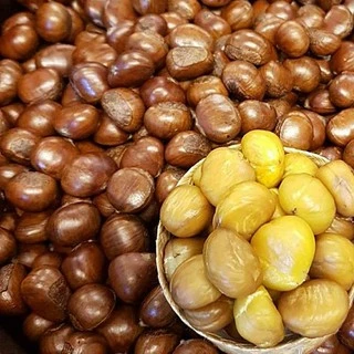 เกาลัดครัว (เกาลักญี่ปุ่น) พร้อมทาน เม็ดใหญ่หวานมันอร่อยแบบธรรมชาติ จากเยาวราช(นำหนัก 500 กรัม 1000 กรัม)