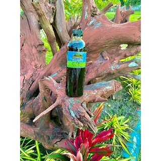 น้ำส้มควันไม้ ชลบุรี ตรา Kochan camp ขนาด 500 ml. สูตรเข้มข้…