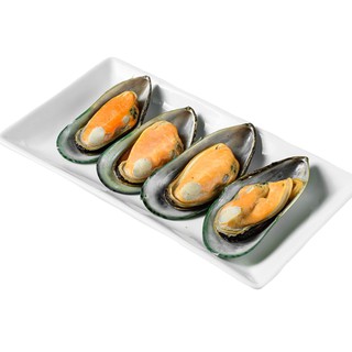 SH028 หอยแมลงภู่ ครึ่งฝา M / Newzealand Half Shell Mussel / ムール貝