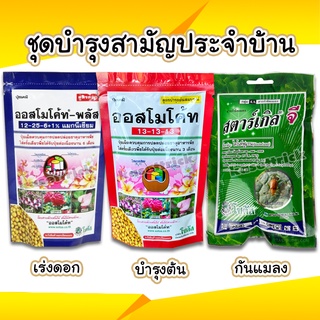 ชุดบำรุงสามันประจำบ้าน เร่งดอก บำรุงต้น กันแมลง (ออสโมโค้ทพัลส,ออสโมโค้ท,สตาร์เกิลจี ขนาด 100 กรัม)