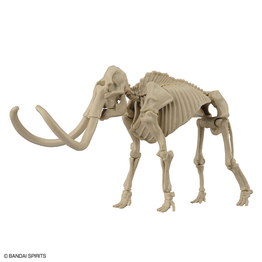 Exploring Lab Nature Mammoth ราคา ถูกที่สุด ดีลบีเคเค แกลเลอรีภาพที่ 5