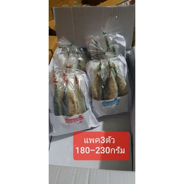 ปลาทูหอม-ปลาทูมัน(เค็มน้อย)แพค3ตัว200-250กรัม ราคา35บาท3แพค💯บบาท