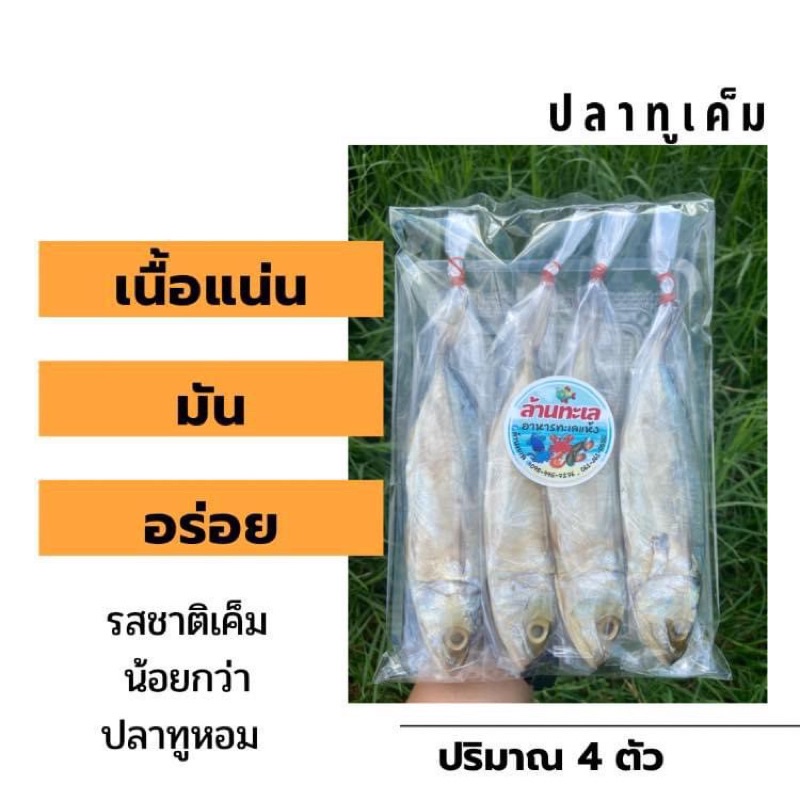 ปลาทูเค็ม ปริมาณ 4 ตัว เนื้อปลาแข็ง ไม่เค็มมาก สินค้าใหม่  ปริมาณ 400-500 กรัม