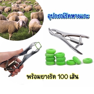 คีมรัดหางแพะ - แกะ พร้อมยางรัด100 เส้น 🐏🐏🐏