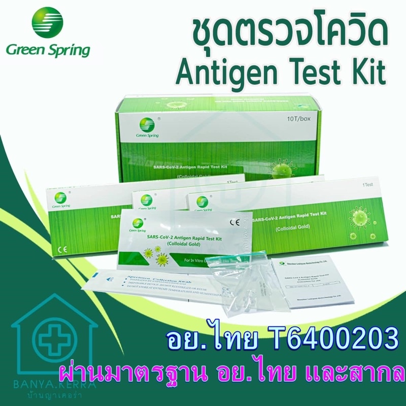 Kin.Care💯ATK  Green Spring ตรวจแบบแยงจมูกหรือแบบกวาดในลำคอ อย.ไทยแท้ Antigen test kit