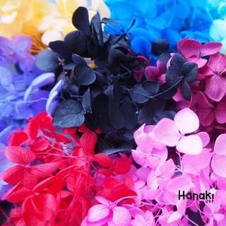 【พร้อมส่ง】🌻ดอกไฮเดรนเยียแห้ง ไฮเดรนเยียกลีบเล็ก🌻 Preserve hydrangeas ดอกไม้ทำเรซิ่น