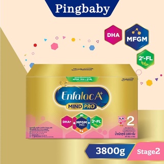 EnfalacA+ เอนฟาแล็คเอพลัส สูตร 2 ขนาด 3800 กรัม ( 1 กล่อง )