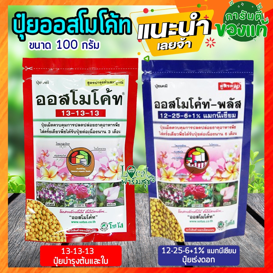 ออสโมโค้ท 100g (Osmocote) 🌹ปุ๋ยบำรุงต้น + ปุ๋ยเร่งดอก ปุ๋ยออสโมโค้ท สูตร 13-13-13 + สูตร 12-25-6 ปุ๋