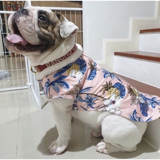 เสื้อผ้าสุนัข Dog clothes