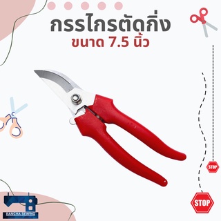 กรรไกรตัดกิ่งไม้ ขนาด 7 1/2 นิ้ว